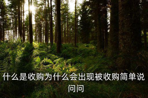 什么是收購為什么會出現被收購簡單說  問問