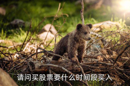 什么時候買入股票，請問買股票要什么時間段買入
