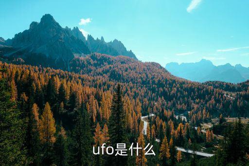 什么是飛行區外來物，ufo是什么