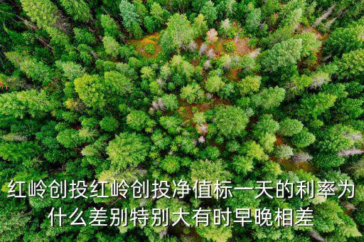紅嶺創投紅嶺創投凈值標一天的利率為什么差別特別大有時早晚相差