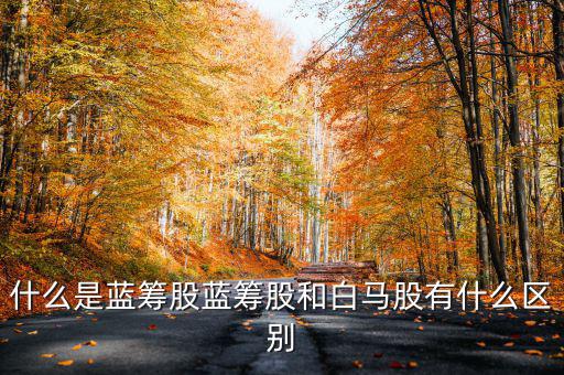 什么是藍籌股藍籌股和白馬股有什么區別