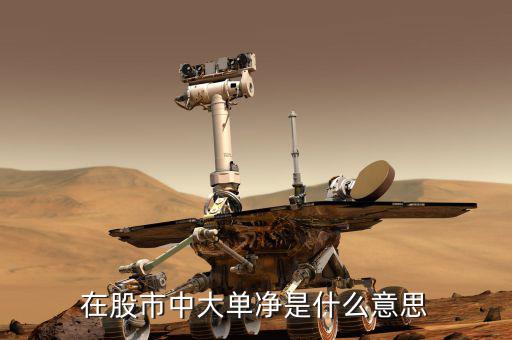 大單凈值什么意思，大單凈比是什么意思