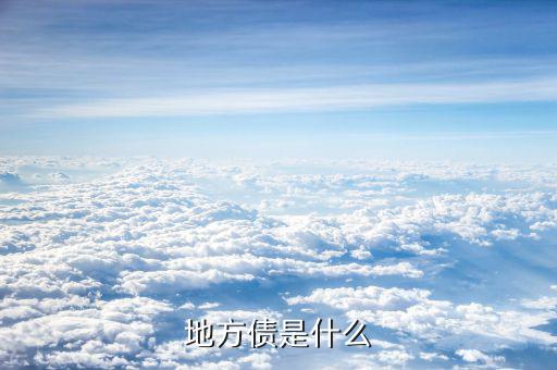 地方債怎么來的,地方債權人主要是指地方政府發行的債券