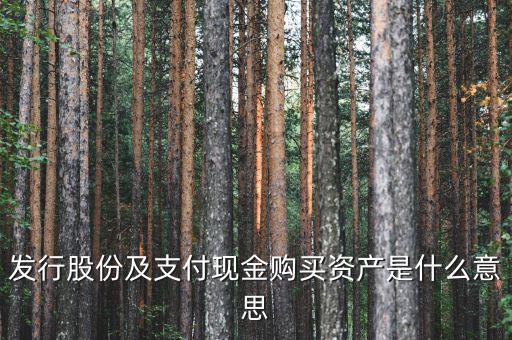 發行股份及支付現金購買資產是什么意思