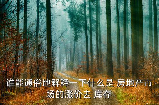 誰能通俗地解釋一下什么是 房地產(chǎn)市場的漲價(jià)去 庫存