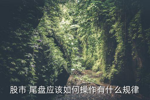 股市 尾盤(pán)應(yīng)該如何操作有什么規(guī)律