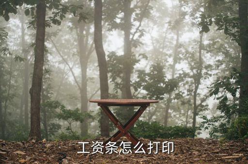 買車怎么拉工資單,公司如何發放工資?簡單方便!