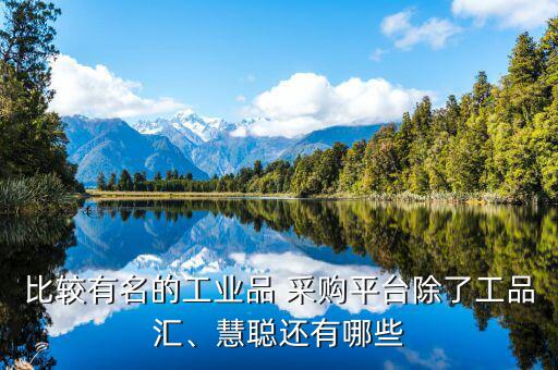 上海西域采購怎么樣,工業品采購四大交易平臺之一