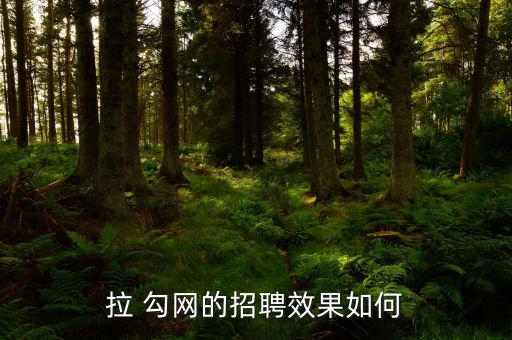 拉勾網怎么屏蔽公司,互聯網招聘網站la勾網簡歷只能被查看
