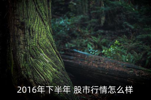 2016年的股市怎么樣,牛市已過去現貨原油或成熱點