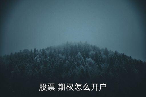 股票 期權怎么開戶