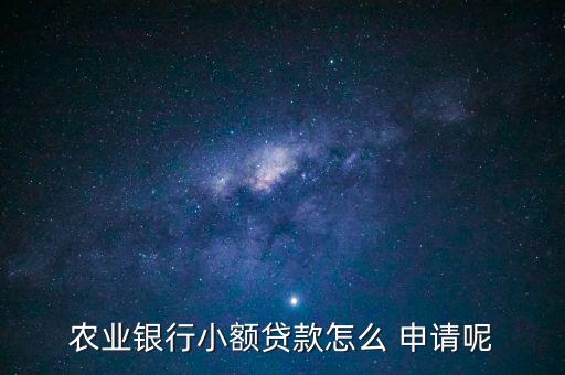 農業銀行小額貸款怎么 申請呢