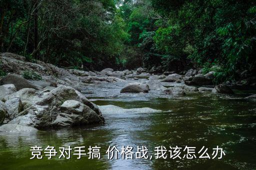 服裝商場里打價格戰怎么辦,市場這么大,價格戰自然而然結束