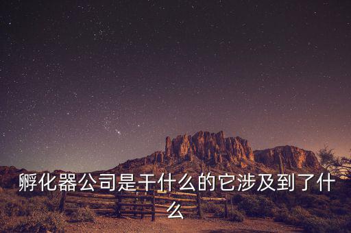 孵化器企業怎么賺錢,什么是企業孵化device?