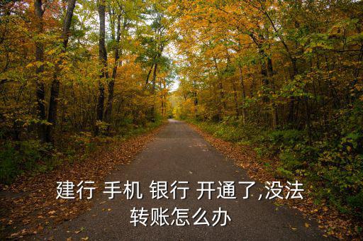  建行 手機 銀行 開通了,沒法 轉賬怎么辦