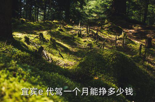 做e代駕司機怎么樣,客戶自助選擇代駕公司業務發展迅速