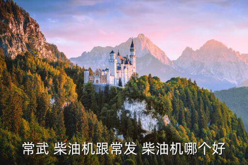 常富柴油機怎么樣,江蘇常發集團擁有三家主營公司