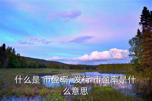 什么是 市盈率, 發行 市盈率是什么意思