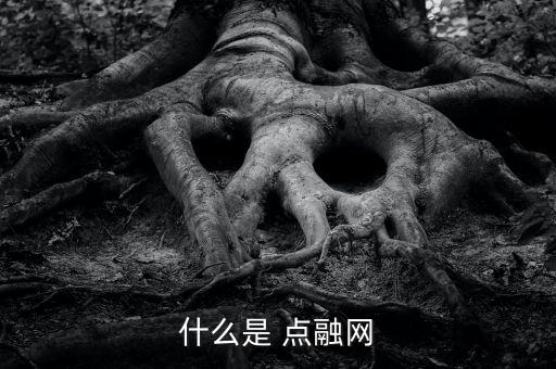 點融網怎么申請貸款,貸款產品相對較少人人貸貸款額度為20萬