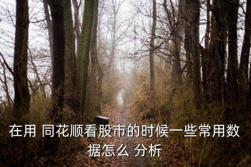 在用 同花順看股市的時候一些常用數據怎么 分析