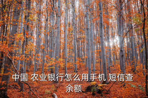 農業銀行怎么發短信查余額,中國農業銀行網銀查詢余額