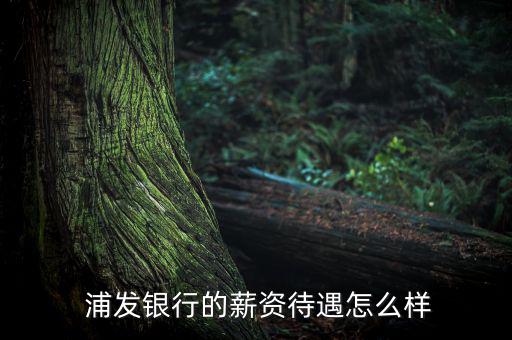 浦發總行怎么樣,上海浦發銀行總行凈資產293.52億