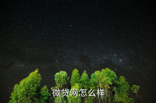 微貸網怎么樣