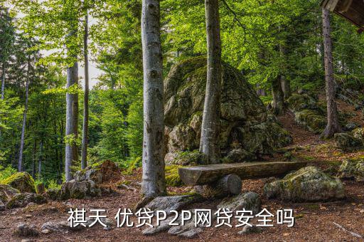 祺天 優貸P2P網貸安全嗎