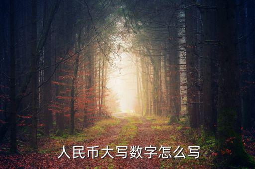 人民幣怎么寫,我國第五套人民幣將在本月發行