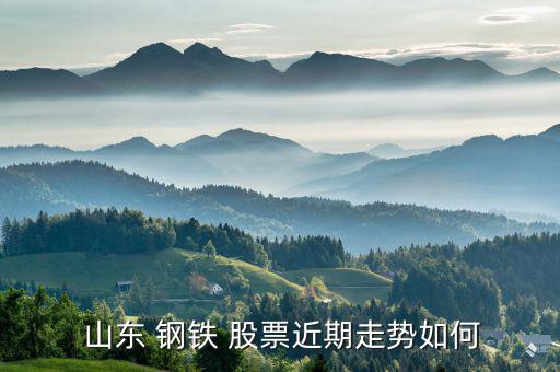 山東鋼鐵股票怎么樣,中鋼鋼鐵集團有限公司發行股票證券持股票