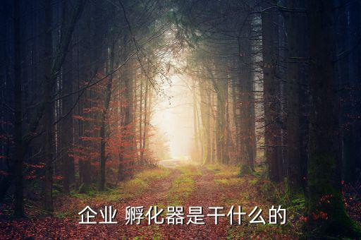  企業 孵化器是干什么的