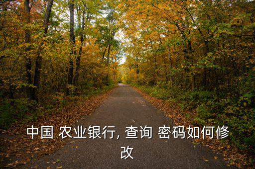 中國 農業銀行, 查詢 密碼如何修改
