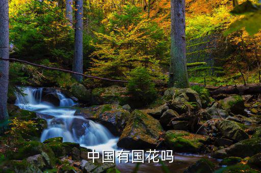 上海中林聯合最后怎么判的,四方八方信徒出資為墨娘修建寺廟