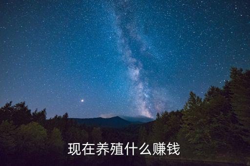 現在養殖什么賺錢