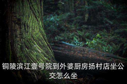 大角接盤的公交車怎么到,我國公交出現故障急需公交車輛