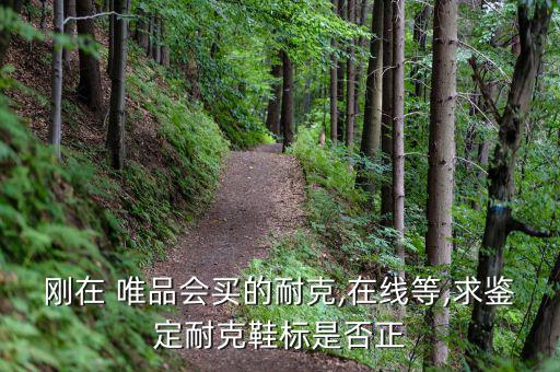 唯品會的東西怎么鑒真偽,這些東西值得你擁有的