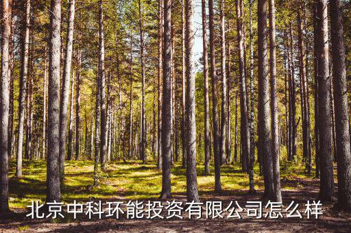 北京中科環能投資有限公司怎么樣