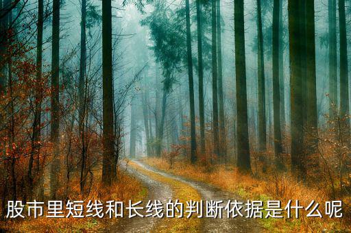 股市里短線和長線的判斷依據是什么呢