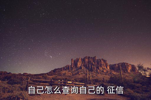 怎么查自己的征信記錄,國人可通過飛宇快搜查詢個人征信數據