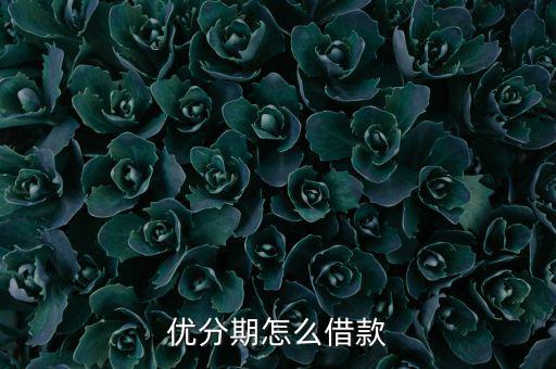 優分期怎么借款