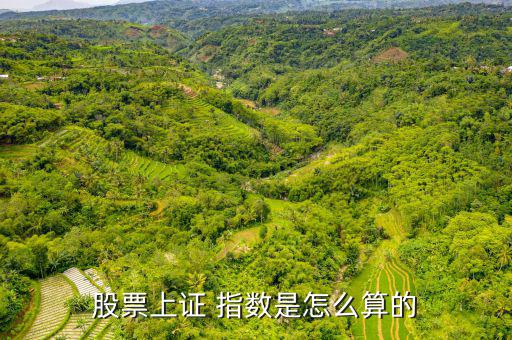 股市指數是怎么算的,stock指數怎么算出來的?