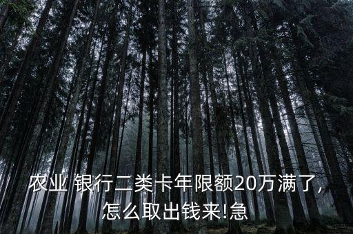 20萬怎么從銀行取,如何預約提現20萬?一文讀懂!