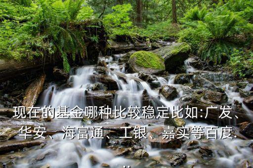 現在的基金哪種比較穩定比如:廣發、 華安、海富通、工銀、嘉實等百度...
