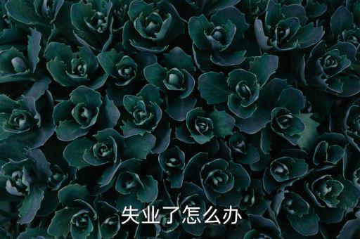  失業了怎么辦