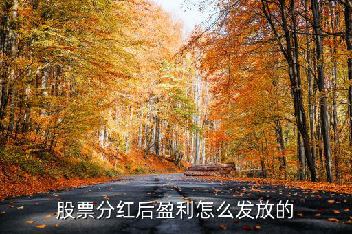 股票分紅后盈利怎么發放的