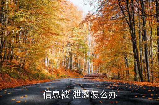 炒股信息泄露怎么辦,國人可要求網絡服務提供者刪除隱私泄露