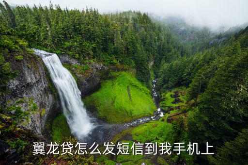 翼龍貸怎么發短信到我手機上