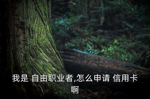 自由職業怎么辦理信用卡,如何申請信用卡?