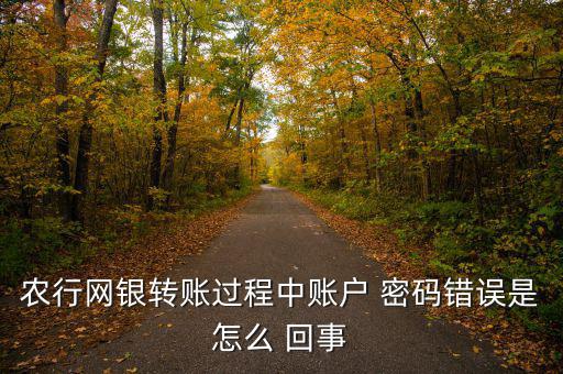 農行網銀轉賬過程中賬戶 密碼錯誤是怎么 回事