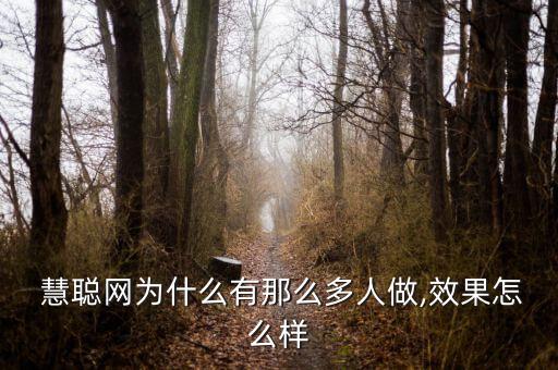 慧聰貸款怎么樣,慧聰net網絡服務優勢明顯提高服務能力